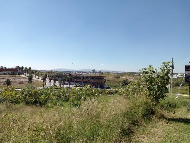 Foto de la galeria de imagenes
